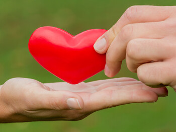 Zwei Hände auf grünem Hintergrund. Eine Hand hält ein rotes Herz aus Plastik in der Hand. Die eine Hand liegt flach darunter.