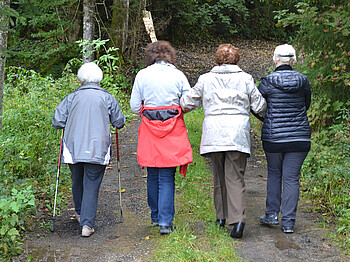 Vier Seniorinnen sind im Wald am Wandern. Ausschließlich deren Rücken sind zu sehen. 